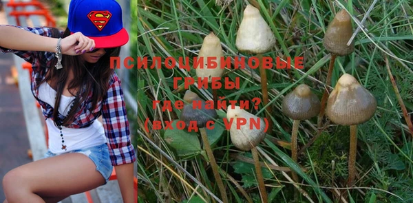 гашик Бронницы